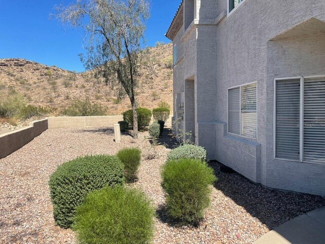 Building Photo - 3236 E Chandler Blvd