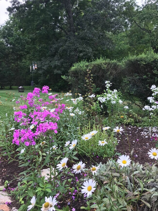 garden - 35 Pheasant Ln