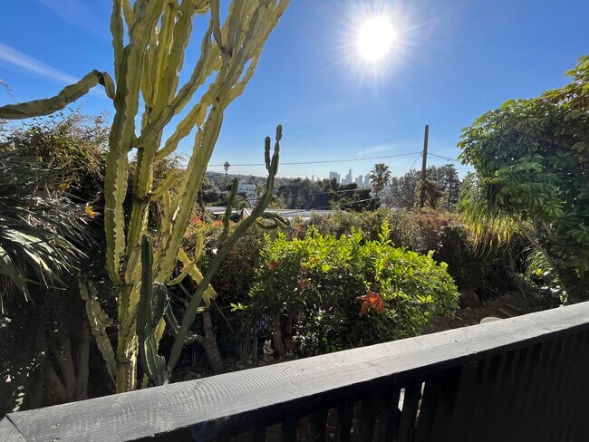 view from deck - 934 Micheltorena St