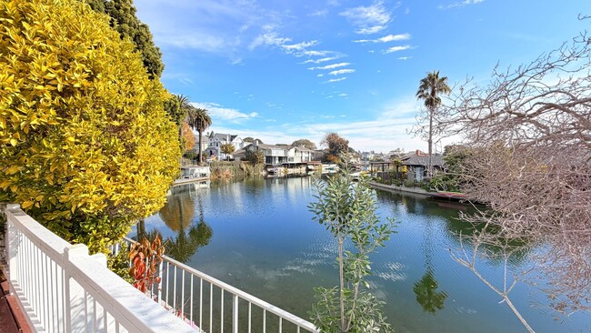 Building Photo - 738 Palmera Ct