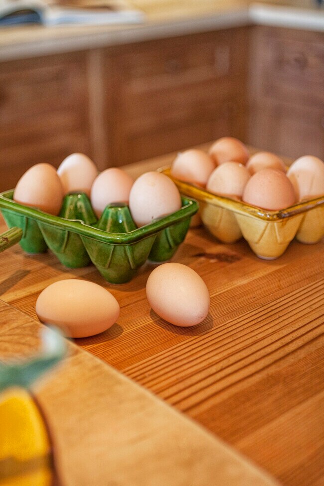 Building Photo - 430 Pratt Ave