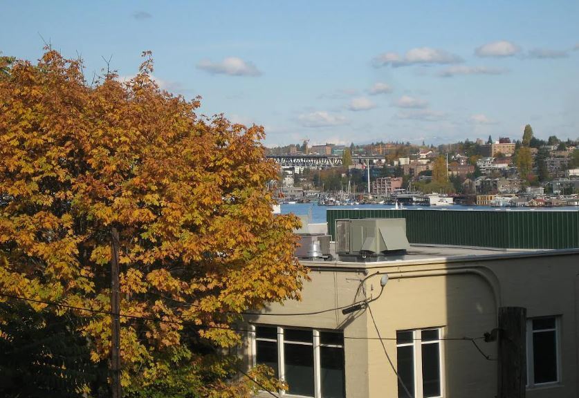 view from deck - 769 Hayes Street