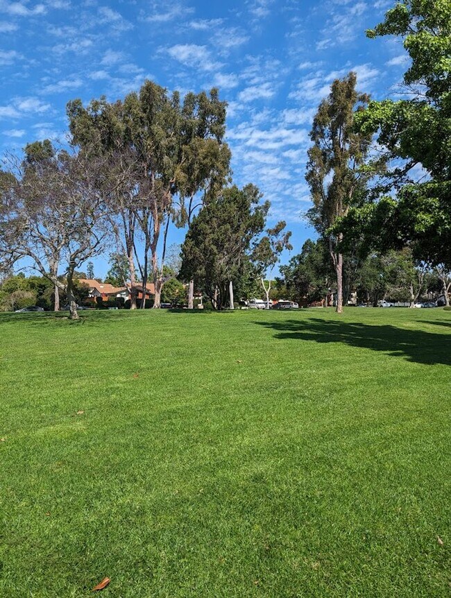 Building Photo - Light & Bright, Remodeled 3BD/1.5BA w/ 1 Car Garage, Comm Pool, Park and Greenbelts