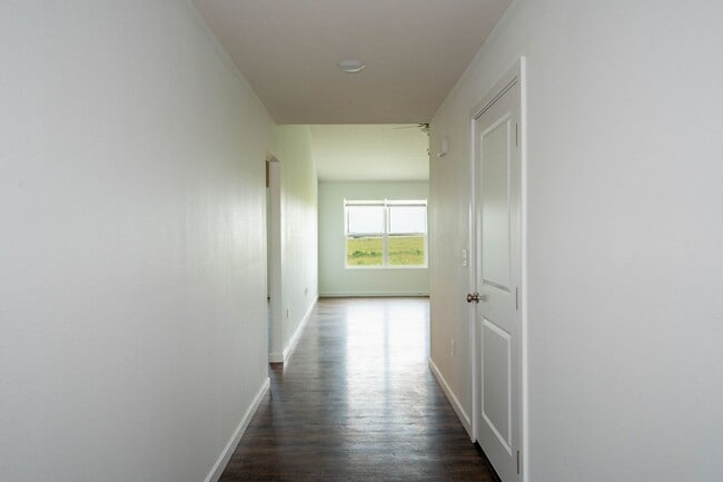 Building Photo - BRAND NEW 3 BEDROOM HOME WITH 3 CAR GARAGE...