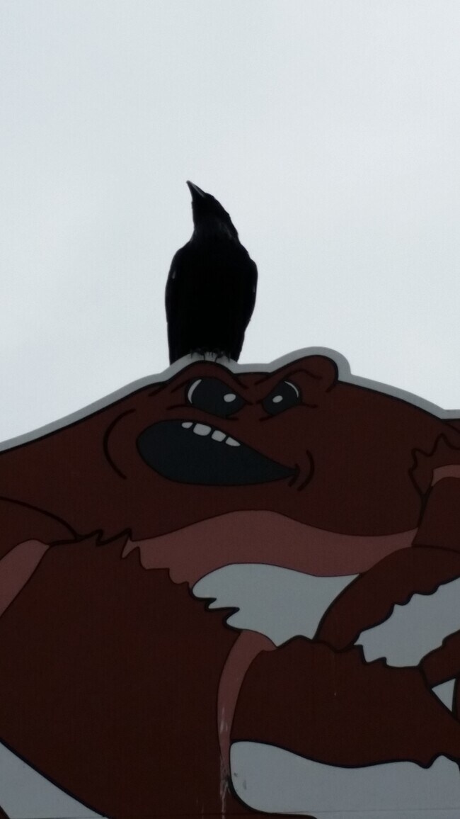 5306 Woodbine Rd 5306 Woodbine Rd Woodbine MD 21797 Apartment Finder