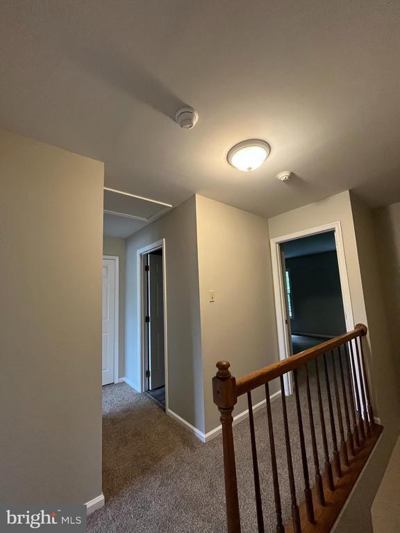 Building Photo - 1049 Wingate Ct