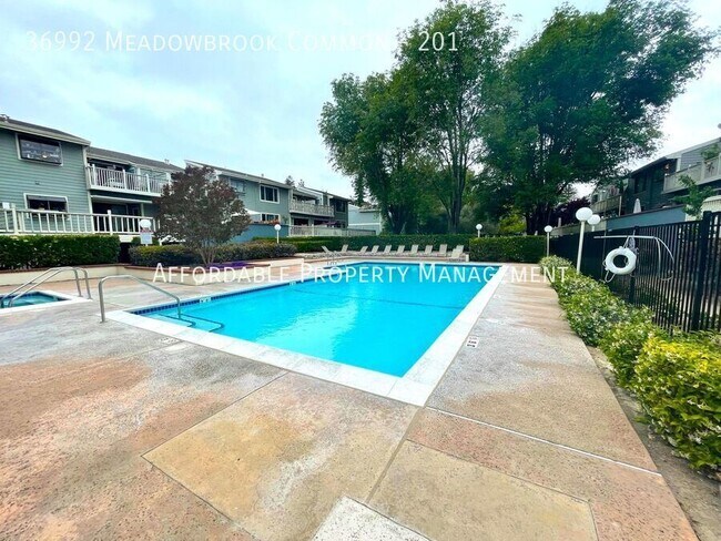 Building Photo - 36992 Meadowbrook Common