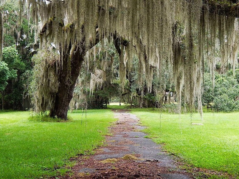 Building Photo - 109 Amber Mill Cir