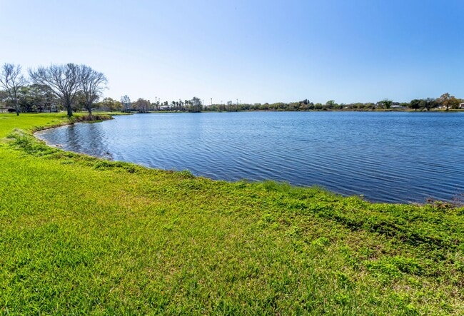 Building Photo - 1/1  Clearwater Duplex -  available now