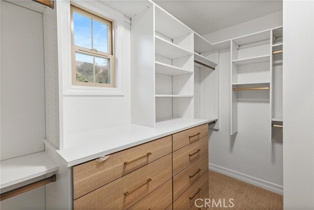 Building Photo - 1 Calle Saltamontes