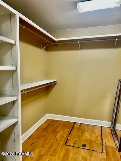 Building Photo - 1025 Huval Ln