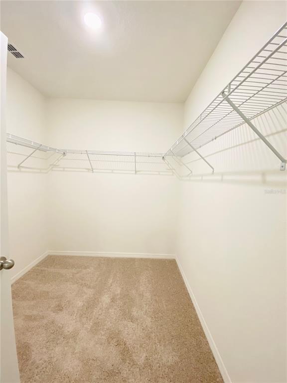 Building Photo - 5709 Horseshoe Loop