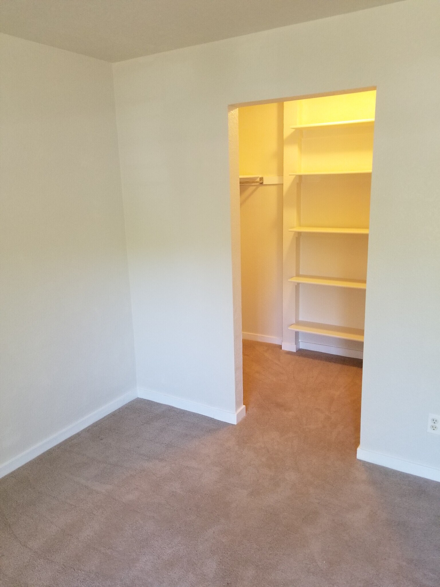 Walk-in closet - 1225 W Prospect Rd