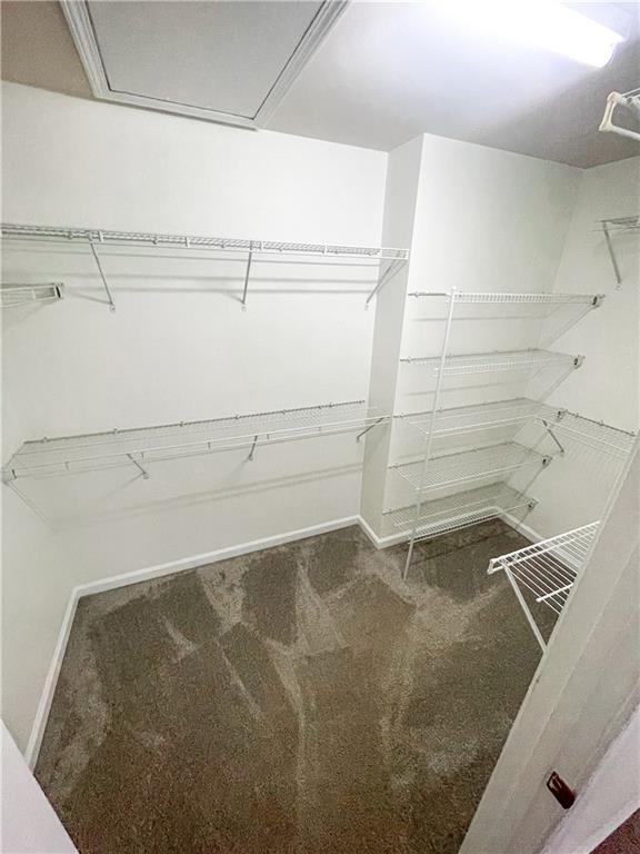 Building Photo - 282 Balaban Cir