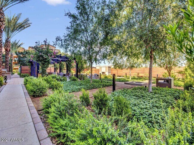 Building Photo - 6166 N Scottsdale Rd