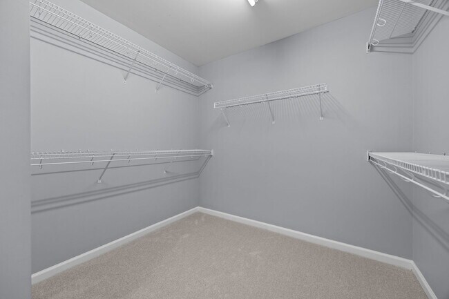 Building Photo - 7805 Jeffrey Alan Ct