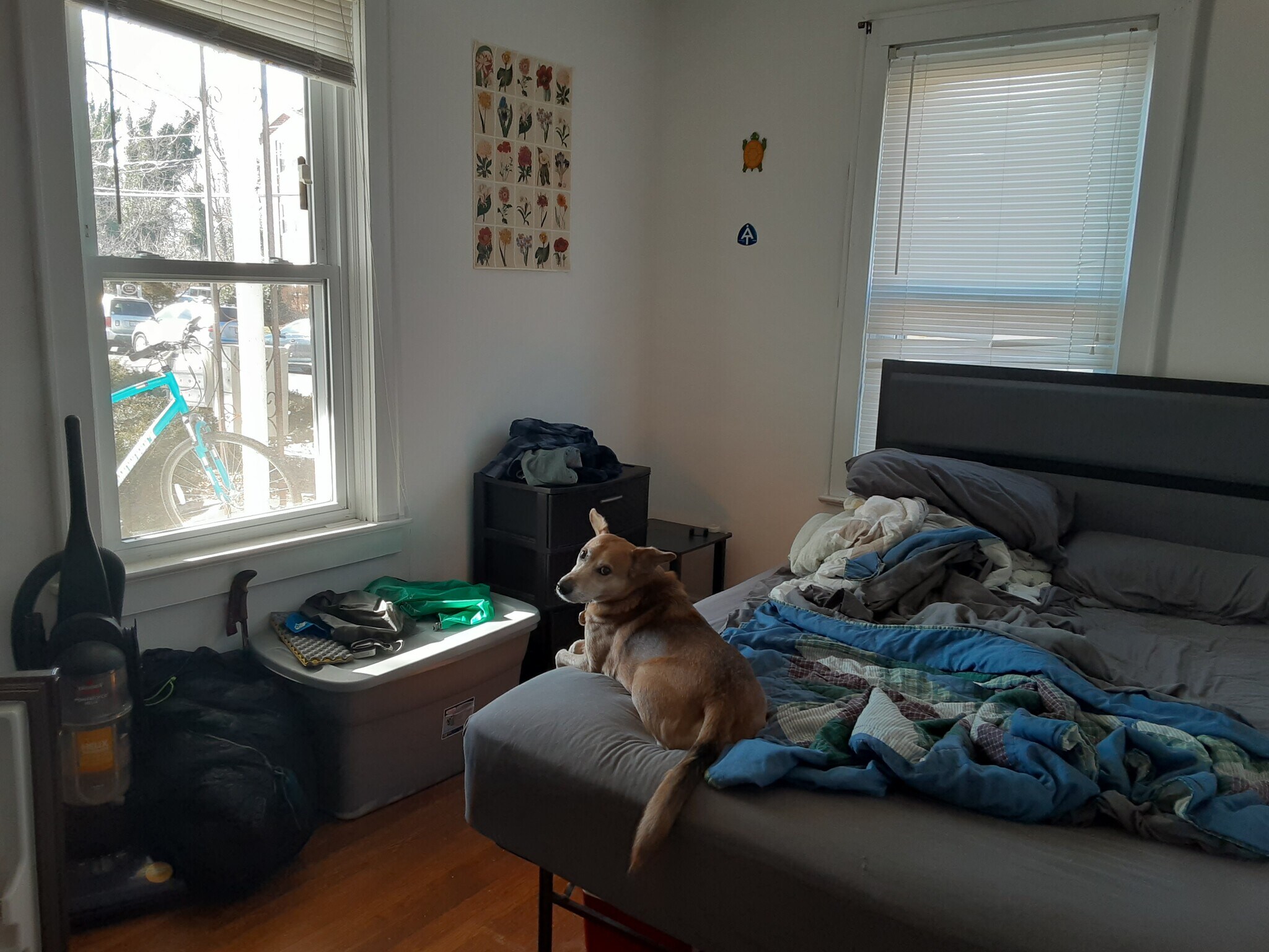 Building Photo - 444 Roanoke St E