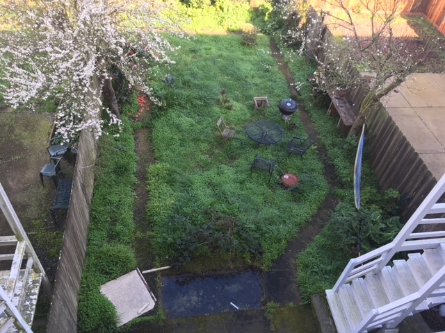 Backyard view from Kitchen - 126 Holloway Ave