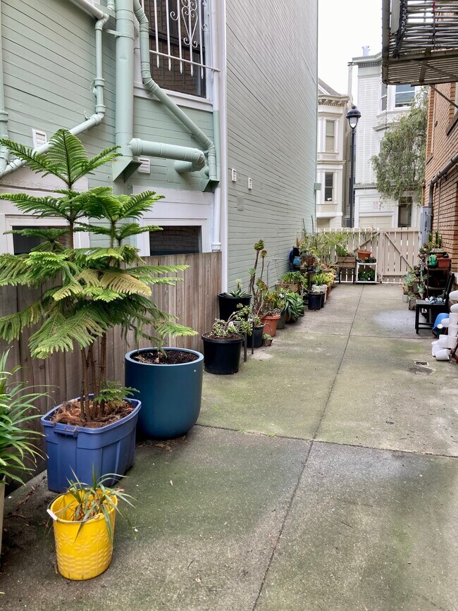 back of building potted plant garden - 1240 7th Ave