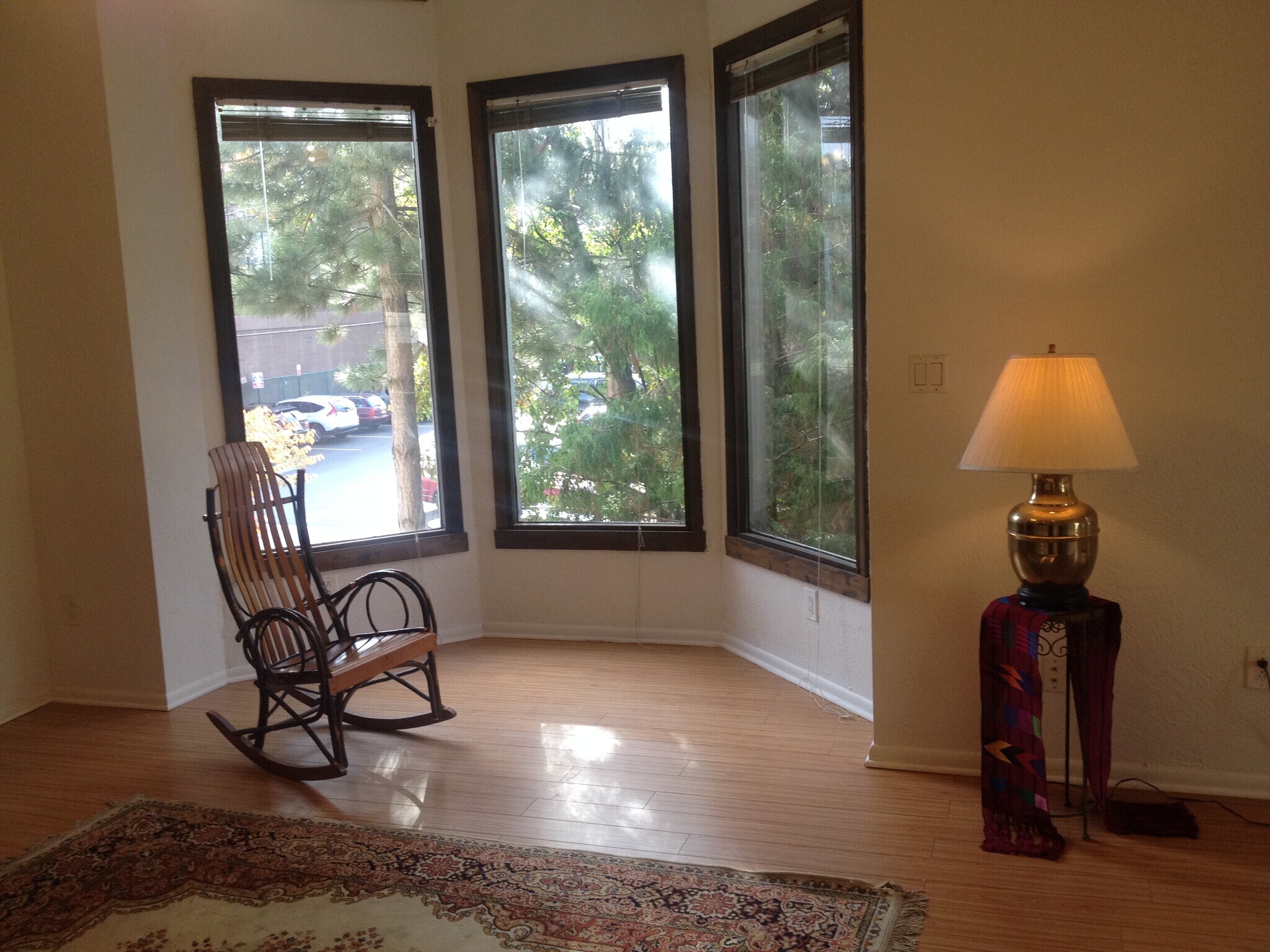 Bay Window View - Living Room - 721 Ivy St