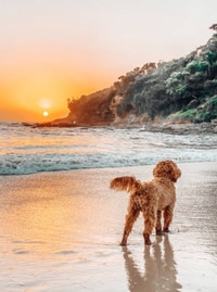 Building Photo - Beachwalk Lifestyle Starts Here!