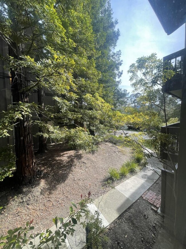 Building Photo - 3316 Brittan Ave