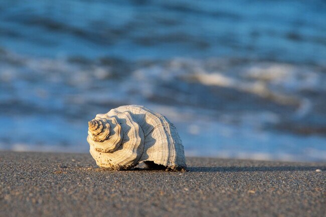 Building Photo - 11250 2nd St E