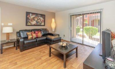 Living Room With Oversized Windows - Glen Oaks Apartments