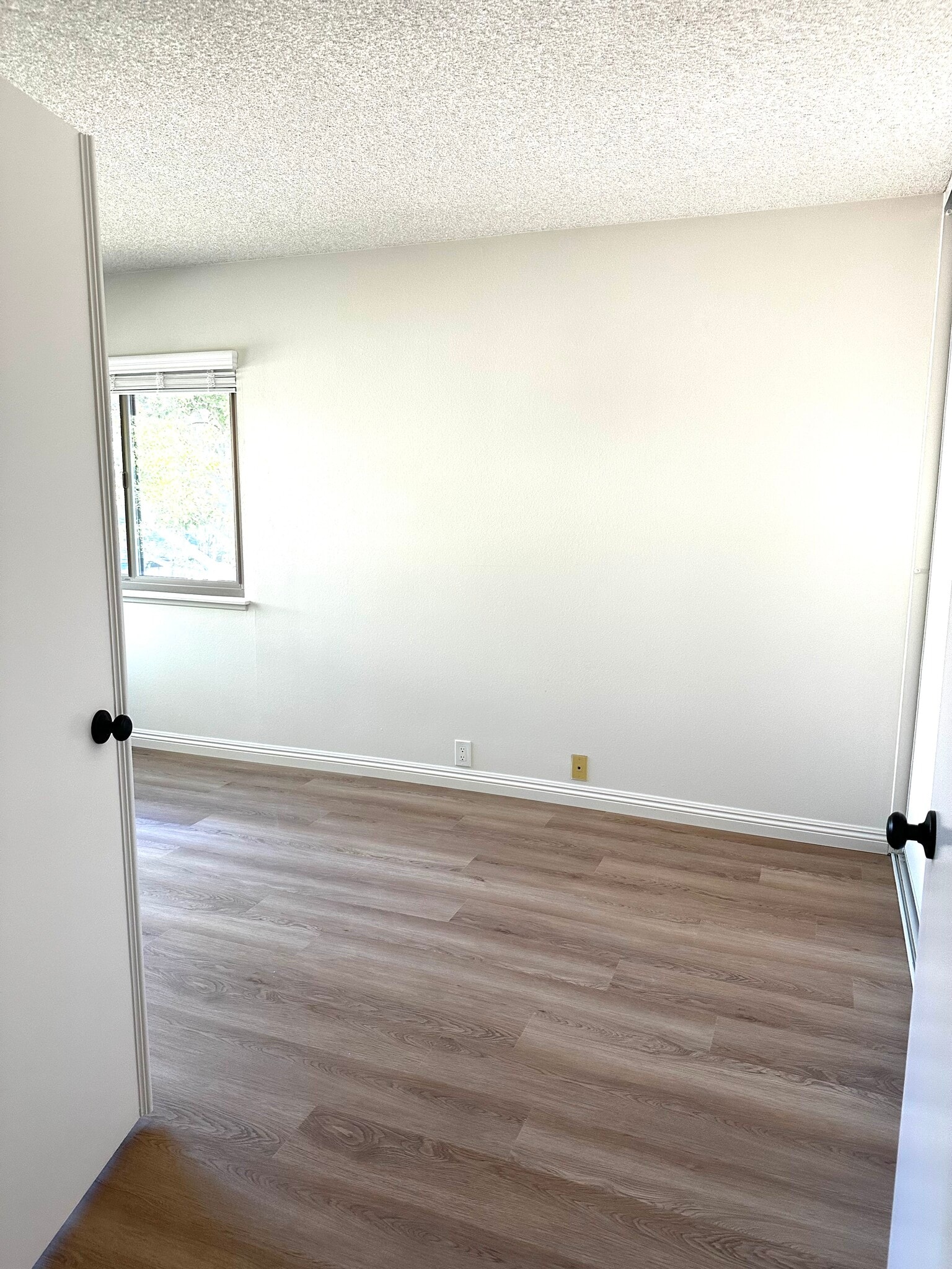 Building Photo - 2207 Moss Ct