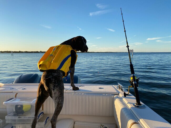 Building Photo - 1456 NE Ocean Blvd