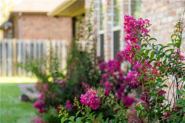 Building Photo - 3778 Prince Philipe St