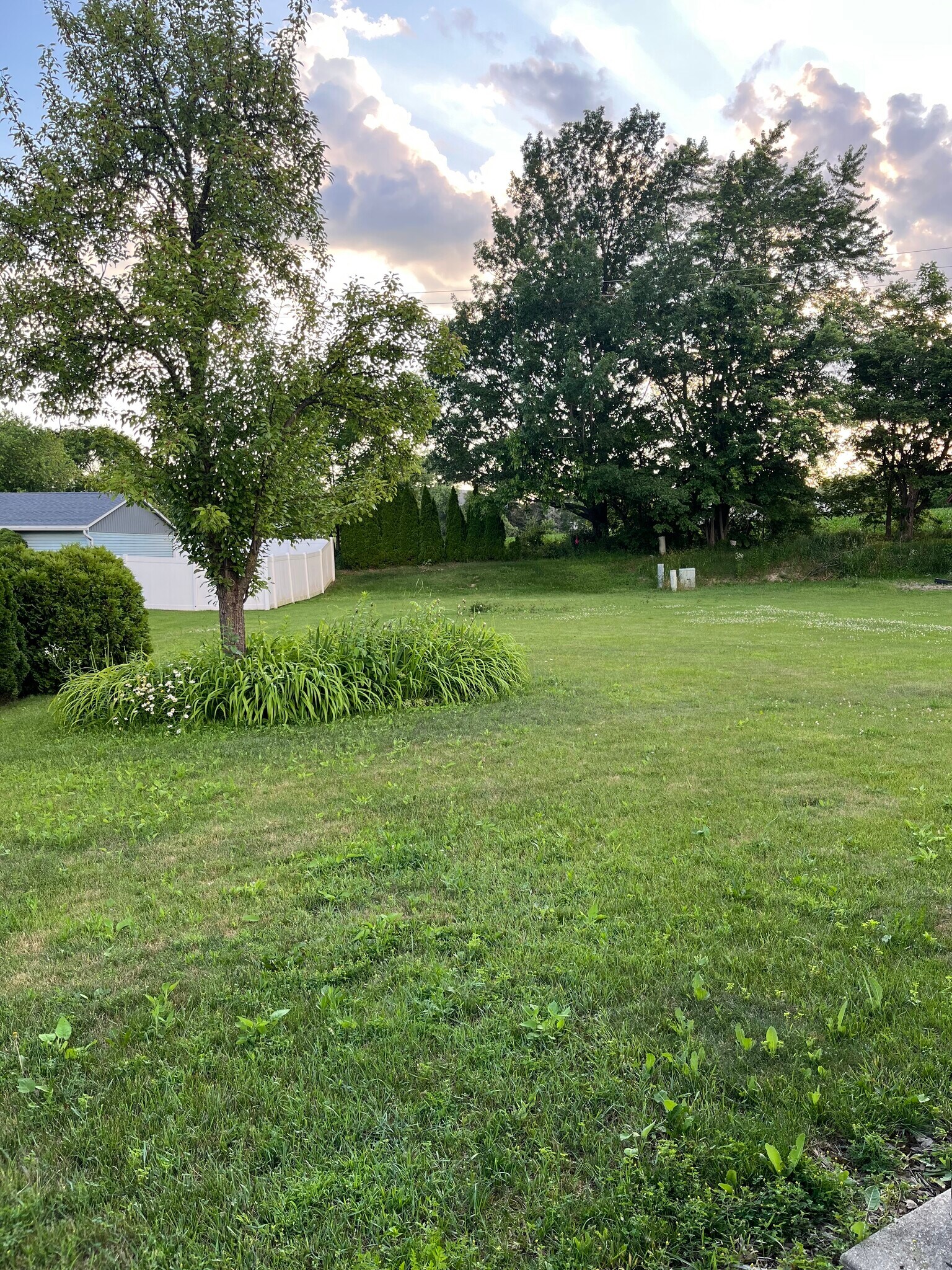 Back yard - 7811 S Burdick Ave