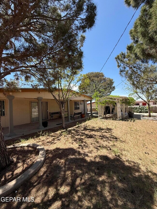 Building Photo - 10449 Chinaberry Dr