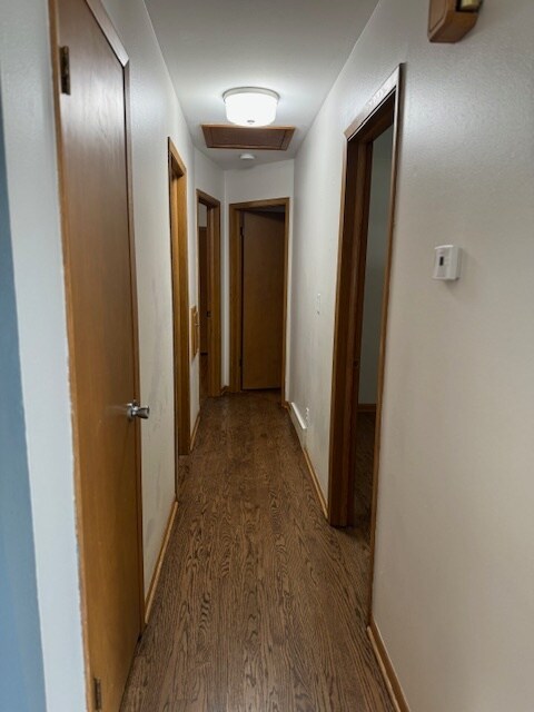 Hall - Linen Closet, 3 Bedrooms, Bathroom - 7948 48th Ave