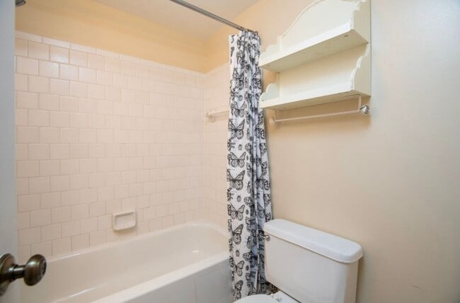Building Photo - Bright 3 Bedroom Takoma Townhome with Park...