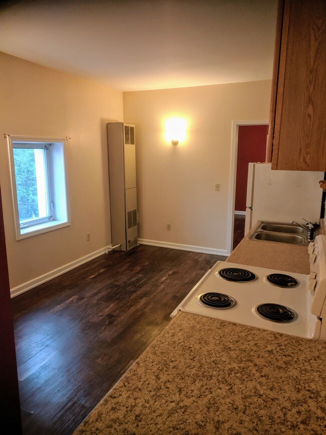 Kitchen/Dining Room - 321 N Michigan Ave