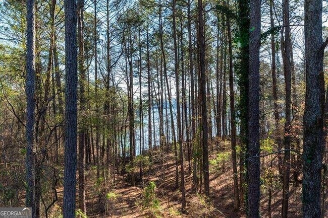 Building Photo - 3200 Rim Cove Dr