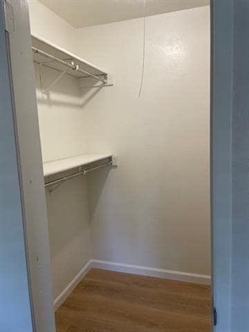 Building Photo - 713 Leading Ln