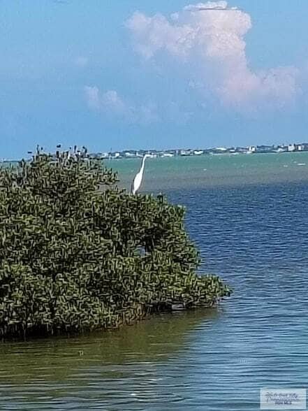 Building Photo - 77 Santa Isabel Blvd