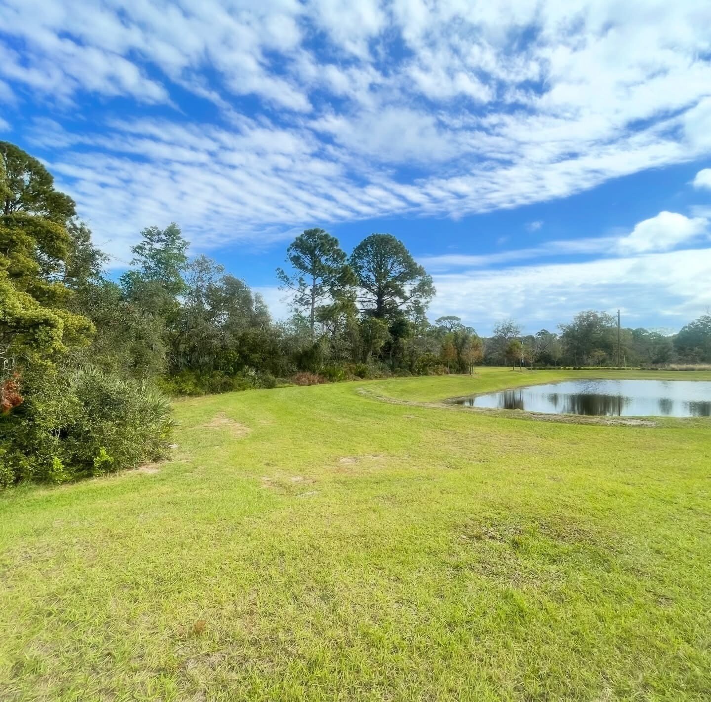 Building Photo - 3977 Willowbrook Dr