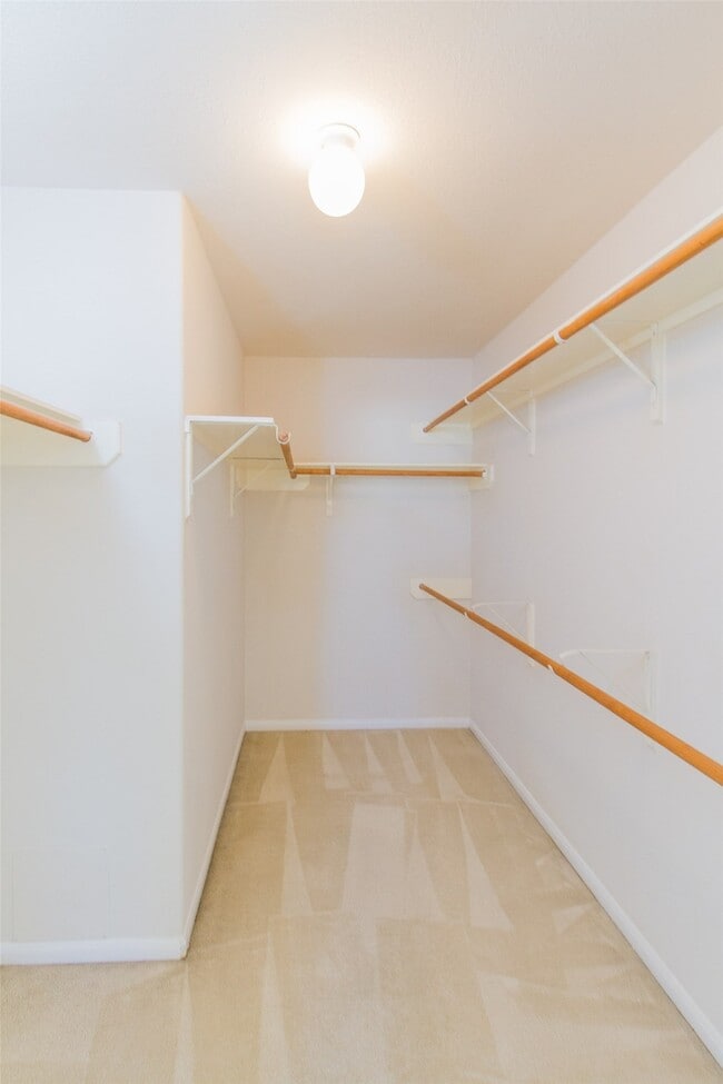 Building Photo - 14202 Ballfour Park Ln