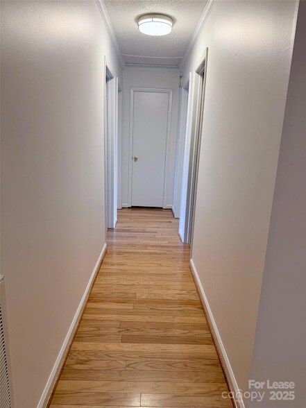 Building Photo - 115 Setter Ct
