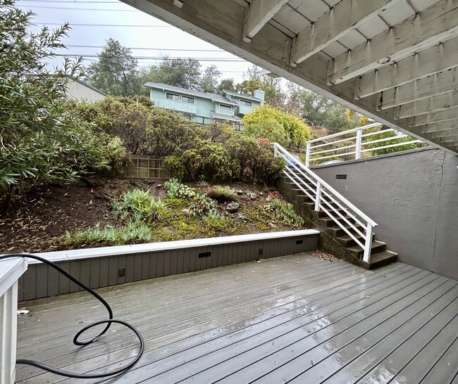 View of mini garden From front door - 49 Bayo Vista Way