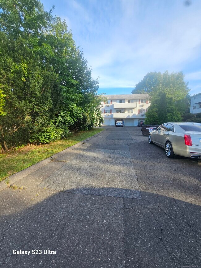 Building Photo - 81 Chipman St