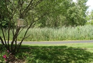 Building Photo - 2526 Looking Glass Ct