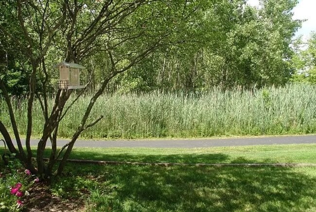 Building Photo - 2526 Looking Glass Ct