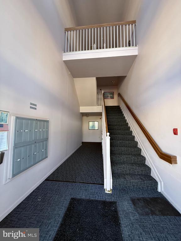 Building Photo - 309 Tall Pines Ct