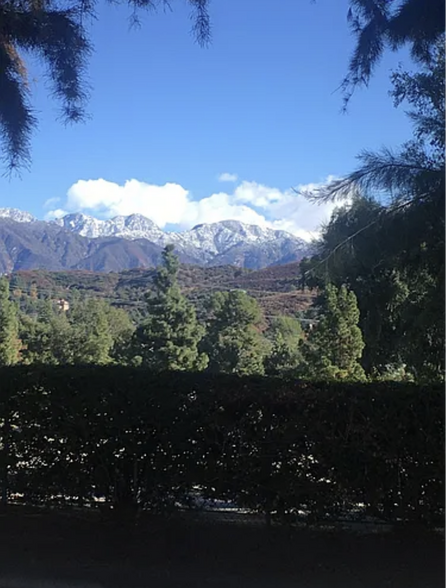 Building Photo - 3141 Country Club Dr