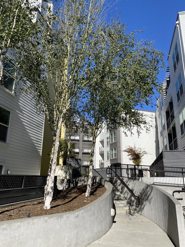 Building Photo - 8400 Oceanview Ter