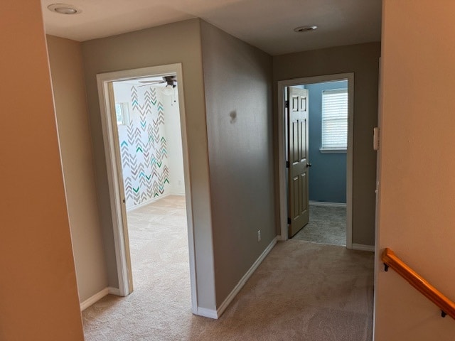 Building Photo - 415 Louis Ln